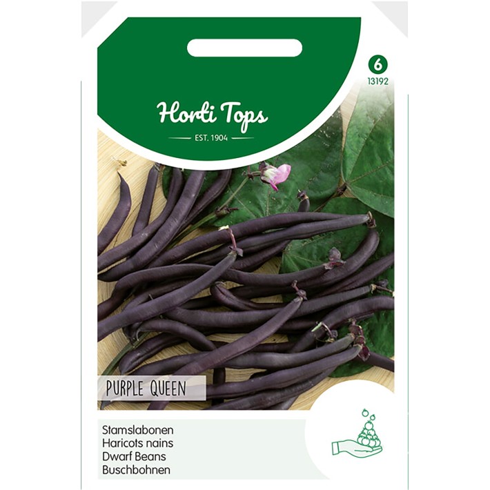 Bush Beans Purple Queen, 100g