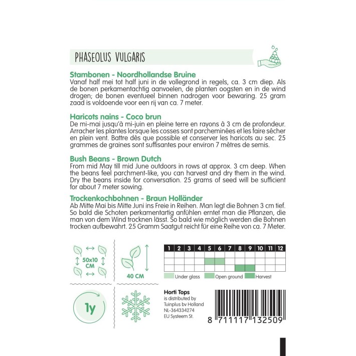 Horti Tops® Bush Beans Brown Dutch