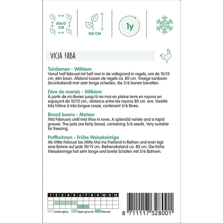 Broad Beans White, 100g