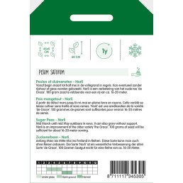 Zuckererbsen niedrige Norli, 100g