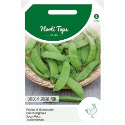 Zuckererbsen Oregon Sugar Pod, 100g