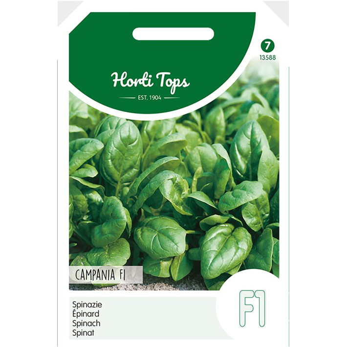 Épinard Campania F1, 50g