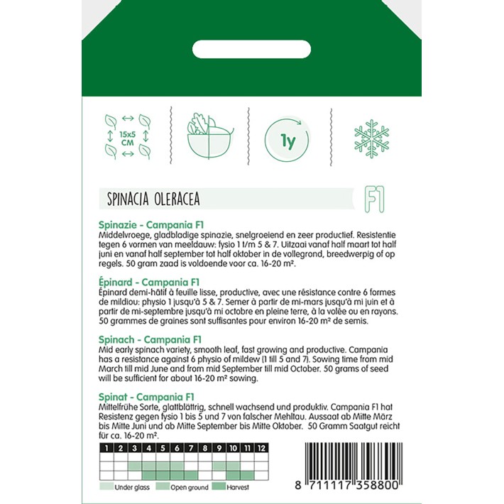 Épinard Campania F1, 50g