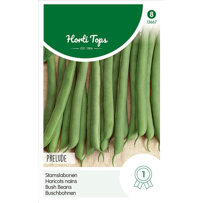 Dwarf French Beans Prelude, 250g