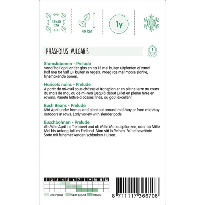 Dwarf French Beans Prelude, 250g