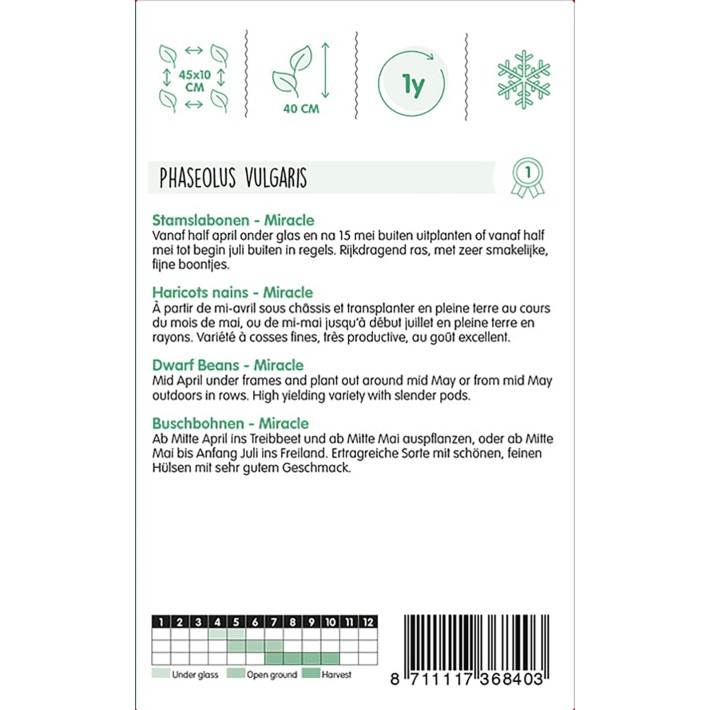 Haricot nain miracle à cosse fine, 250g