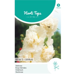 Althaea (Alcea) Stokroos Majorette Champagne