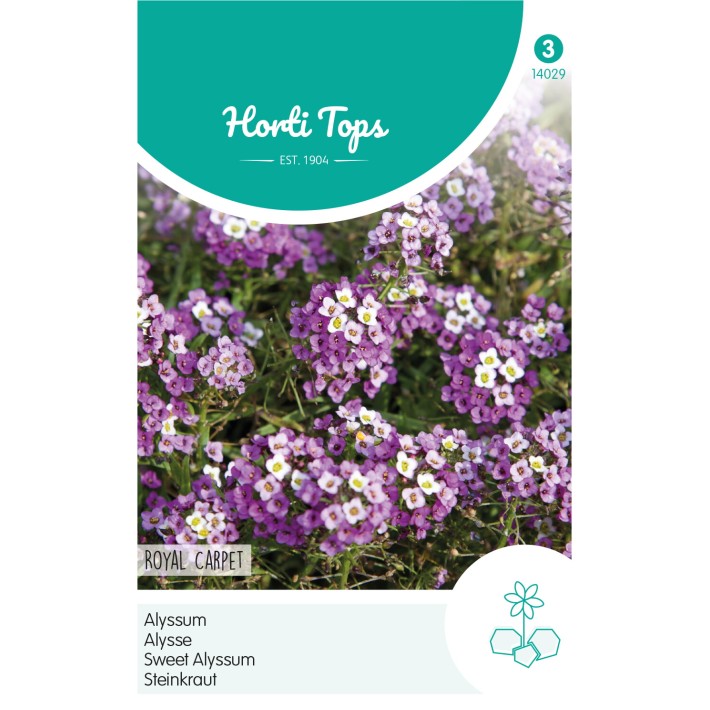 Horti Tops® Alyssum Royal Carpet
