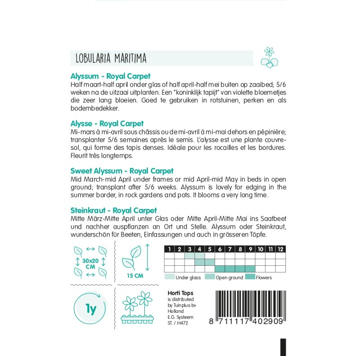 Horti Tops® Alyssum Royal Carpet