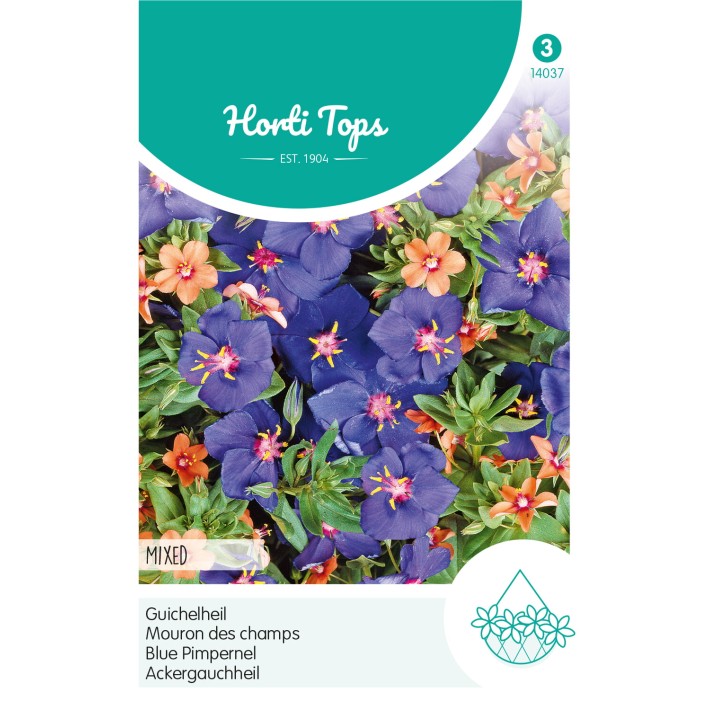 Horti Tops® Anagallis Arvensis Coerulea