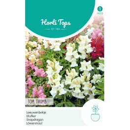 Antirrhinum, Leeuwenbekje Tom Thumb gemengd