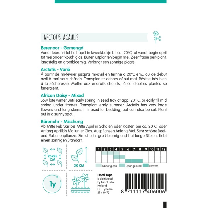Horti Tops® Arctotis Acaulis (Scapigera) Mixed