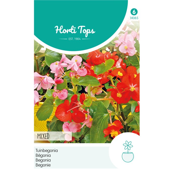 Horti Tops® Bégonia Semperflorens Variee
