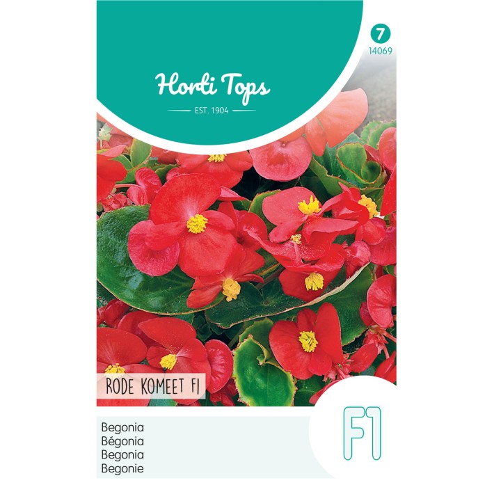 Horti Tops® Bégonia Semperflorens F1 Rouge Comet