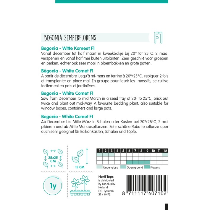 Horti Tops® Begonia Semp. F1 Hybrid White Comet