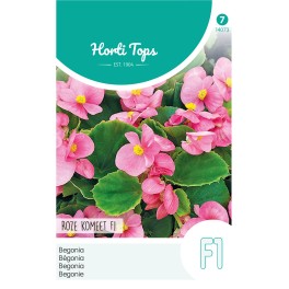 Horti Tops® Begonia Semp. F1 Hybrid Rose Comet