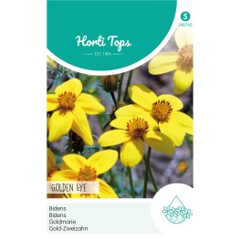 Horti Tops® Bidens Humilis 'Golden Eye'