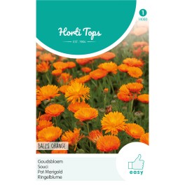 Calendula, Goudsbloem Ball's Oranje dubbelbloemig