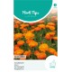 Calendula, Goudsbloem Ball's Oranje dubbelbloemig