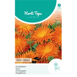 Horti Tops® Calendula Off.Radio Orange Quilled