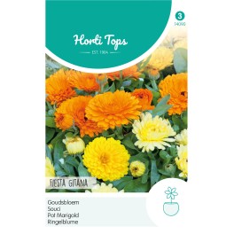 Calendula, Goudsbloem Fiesta Gitana gemengd