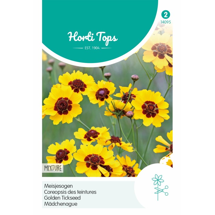 Horti Tops® Coreopsis des teintures Mélange semi-haut