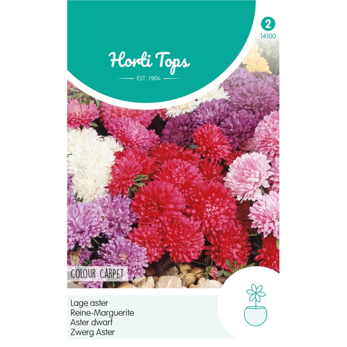 Horti Tops® Reine marguérite Colour Carpet en mélange