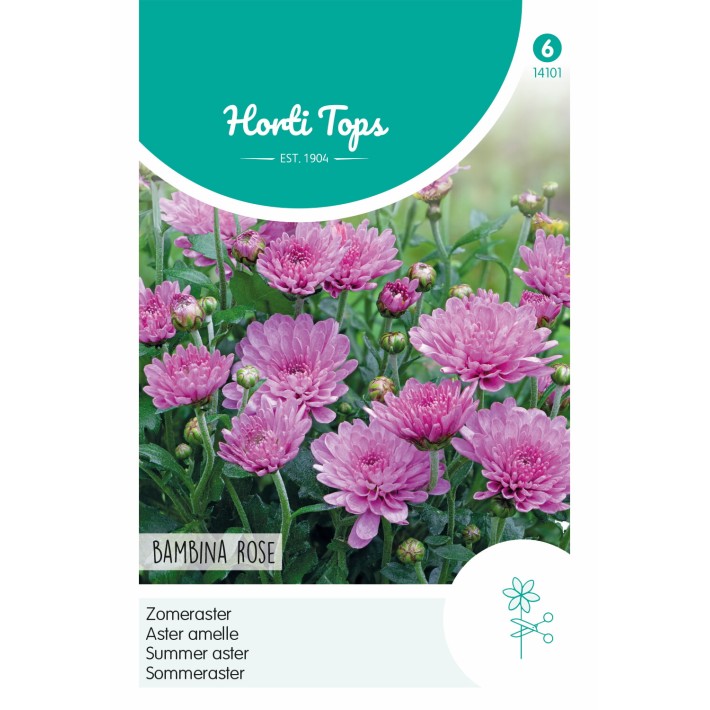 Horti Tops® Aster amelle Bambina Rose