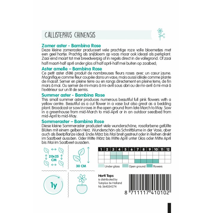 Horti Tops® Aster amelle Bambina Rose