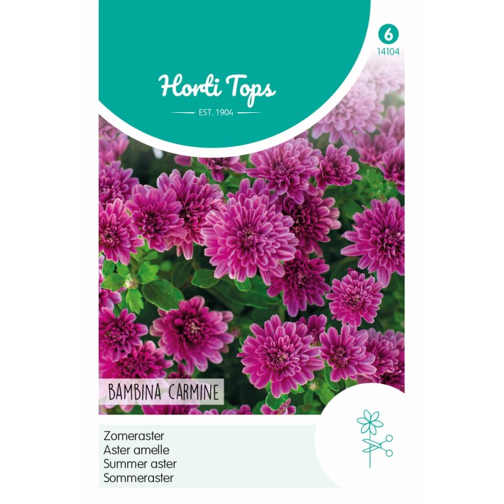 Horti Tops® Aster amelle Bambina Carmine