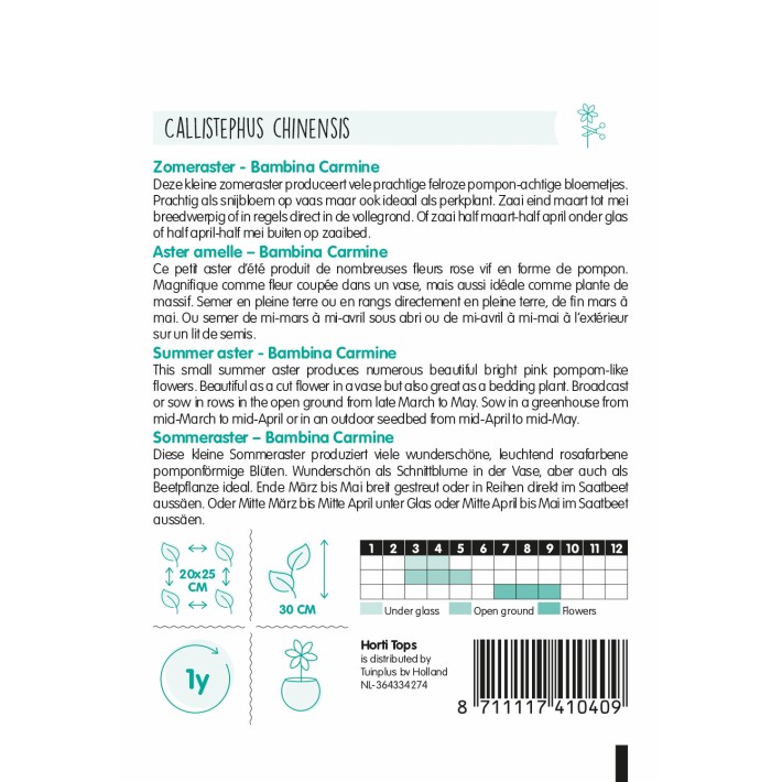 Horti Tops® Aster amelle Bambina Carmine