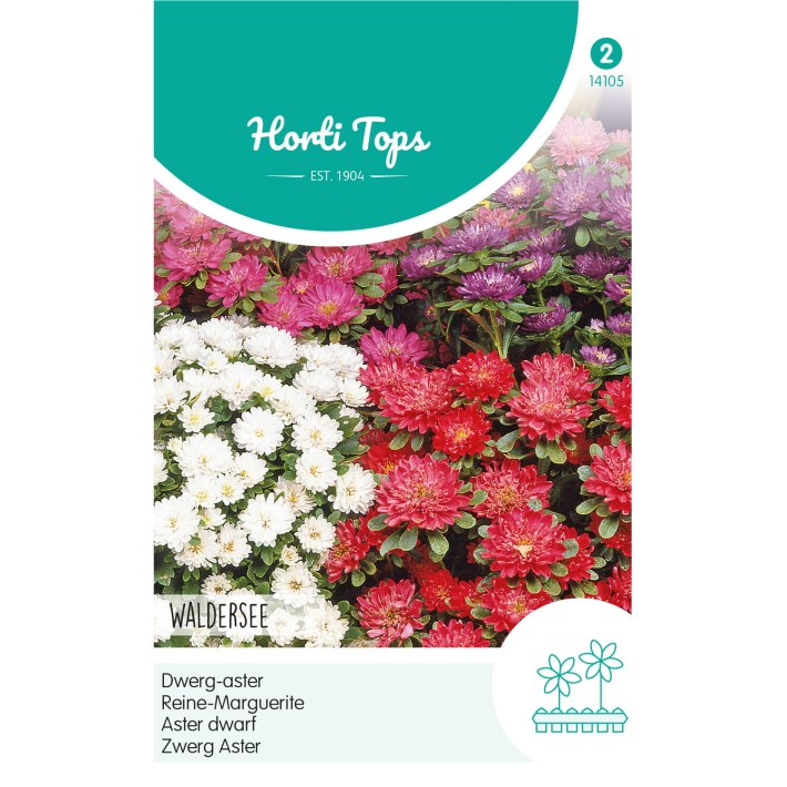 Horti Tops® Reine-Marguérite Waldersee variée