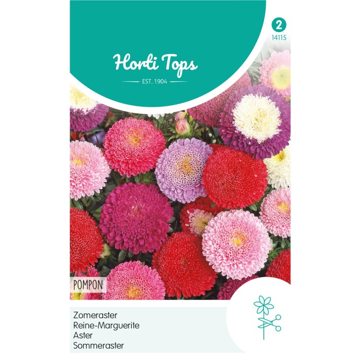 Horti Tops® Reine-Marguérite Lilliput ou Pompon varié