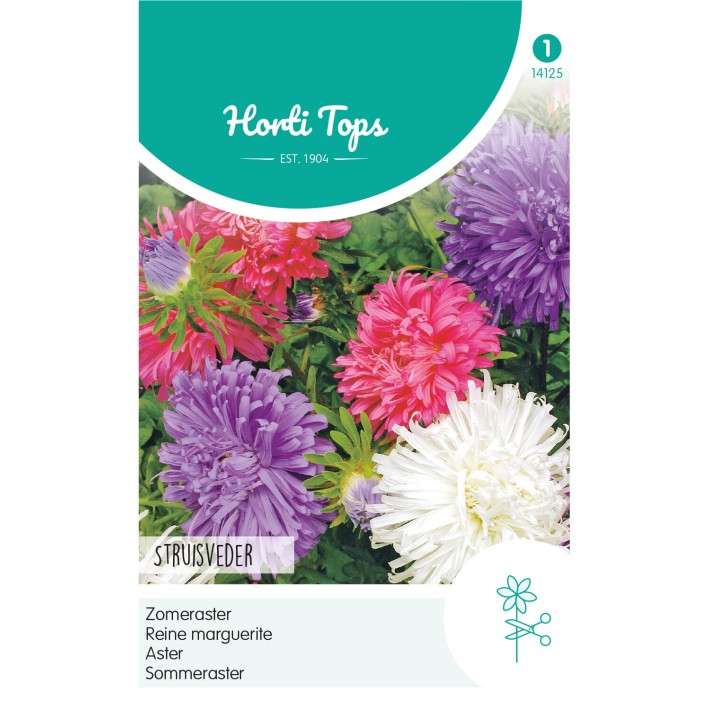 Horti Tops® Reine-Marguérite Plume d'Autruche Variée