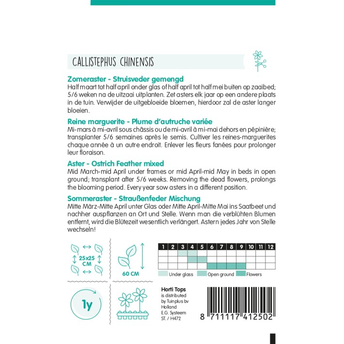 Horti Tops® Reine-Marguérite Plume d'Autruche Variée