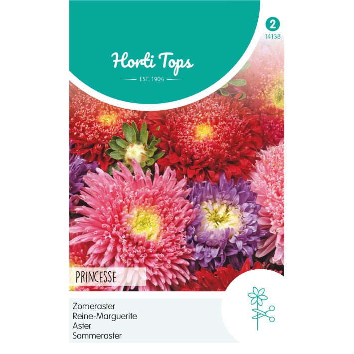 Horti Tops® Reine-Marguérite Princesse géante variée
