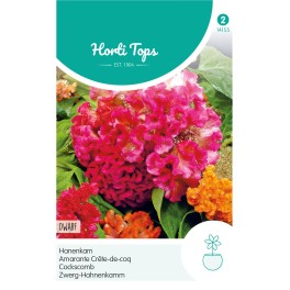 Horti Tops® Celosia Cristata Nana Dwarf Cockscomb Mix
