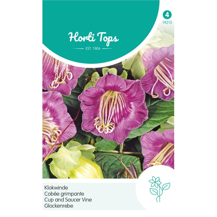 Horti Tops® Cobaea Scandens