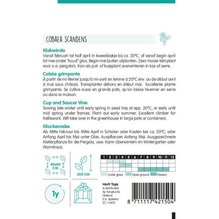 Horti Tops® Cobaea Scandens