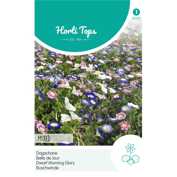 Horti Tops® Convolvulus Tricolor Varie