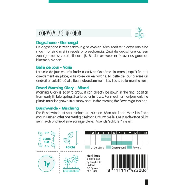 Horti Tops® Convolvulus Tricolor Varie