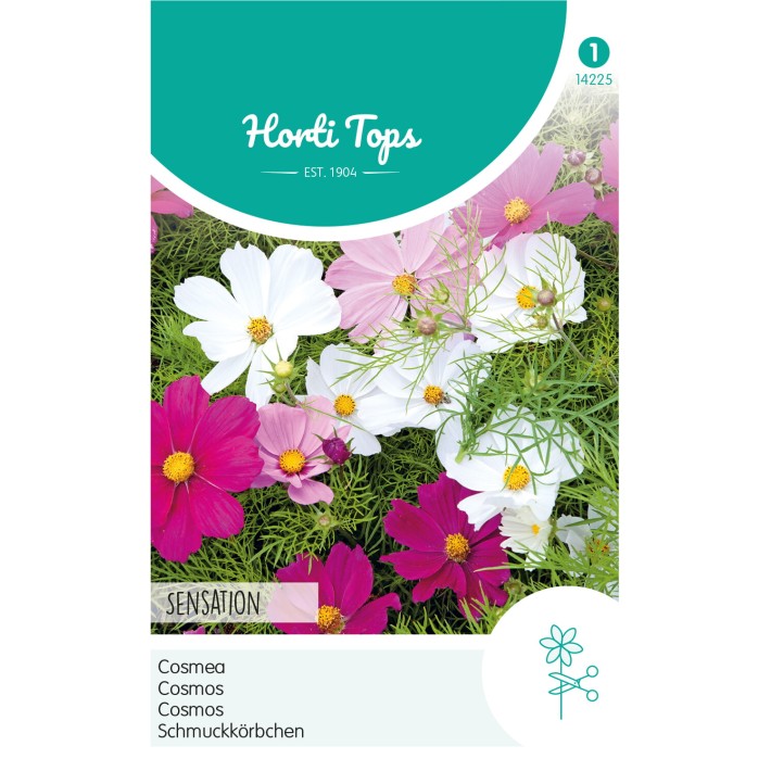 Horti Tops® Cosmos Sensation Varié