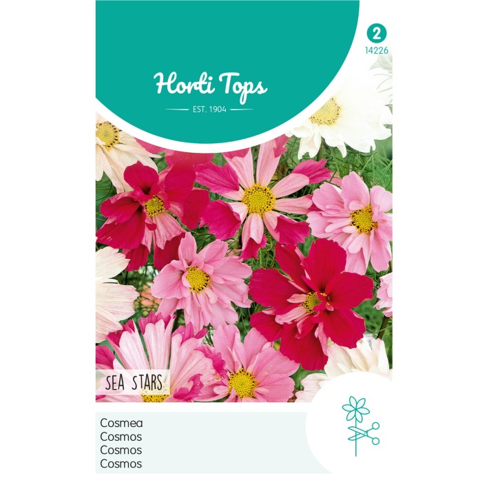 Horti Tops® Cosmos bipinnatus Sea Stars varié