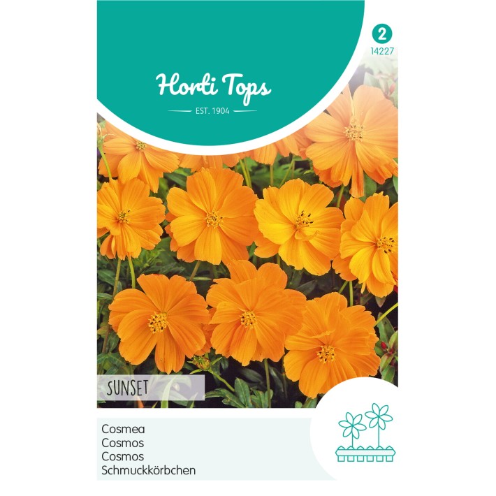 Horti Tops® Cosmos Sulphureus Sunset Orange