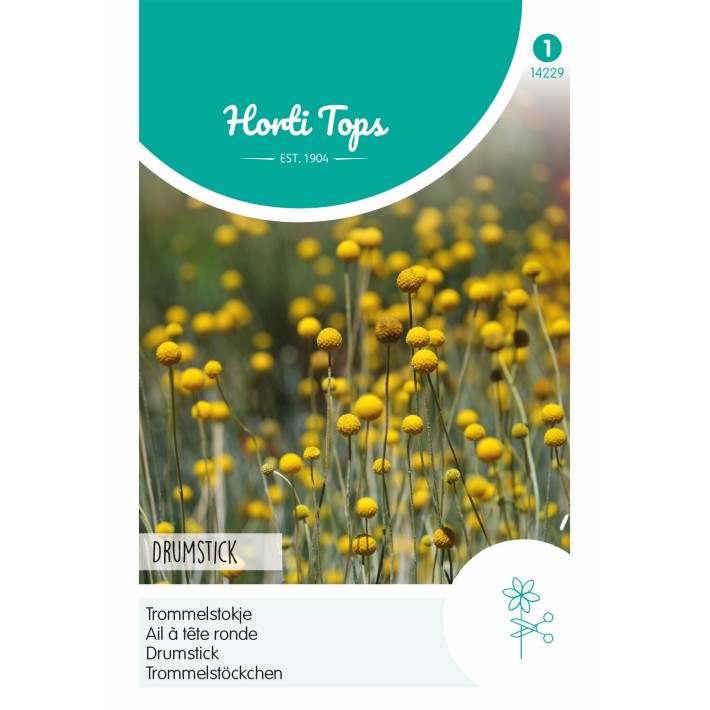 Horti Tops® Ail à tête ronde Baguette de tambour