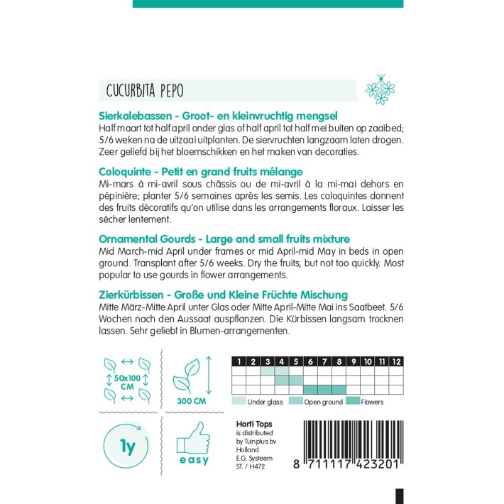 Horti Tops® Cucurbita, small and large fruited var.