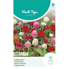 Horti Tops® Gomphrena Globosa Choice Mixed