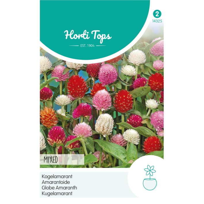 Horti Tops® Gomphrena Globosa Choice Mixed