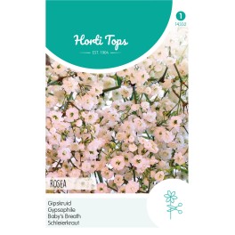 Gypsophila, Gipskruid Elegans Roze