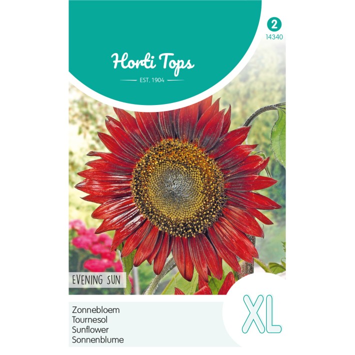 Horti Tops® Tournesol Evening Sun (Soleil)